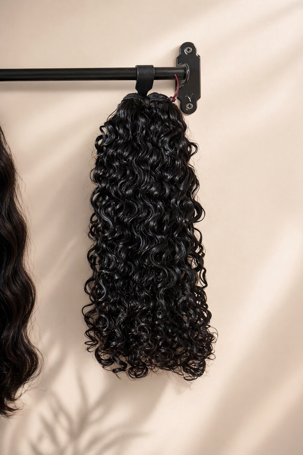 Luxury Burmese Curly